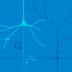 A digital logo made for the Center for Computational Neuroscience 2020 Annual Report.