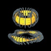 Artist rendering of tokamak and the stellarator, with yellow interior and grey exterior and red arrows point direction of energy flow.