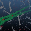 A 3-D model of the semiflexible polymer F-actin in a actin cytoskeleton with actin-binding proteins.