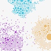 Different colored clusters of dots: purple, pink, red, yellow and blue