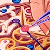 A digital illustration of tweezers in human hands reaching into a clock with its face opened, revealing several layers of gears and other components. The tweezers are poised towards a tiny stylized human brain upon the clock's seconds hand.