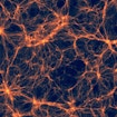orange web on black - dark matter web of the universe