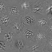 A computer model of vision created by MIT neuroscientists designed these images that can stimulate very high activity in individual neurons