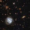Clusters of Galaxies