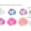 Digital illustration of manifold topology: persistent homology