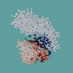 model of protein