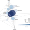 network of working groups