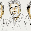 Three hand-drawn ink portraits of, from left to right, Syukuro Manabe, Klaus Hasselmann and Giorgio Parisi.