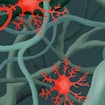 Digital illustration of red and green neurons and a red stylized pair of scissors poised at the stump of a branch-like green neuron.