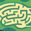 illustration of using drugs to study the brain