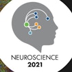SFN logo of a brain