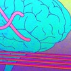 A digital illustration of a blue human brain connected to pink tubes. To the right of the brain and tubes is a simplified representation of a bar graph, consisting two sets of pairs of orange and purple bars.