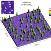 Scanning tunneling microscopy (STM) image of magnetic adatoms deposited on topological superconductor candidate PbTaSe2. Inset: a 2D enlarged view. Each magnetic adatom can host a Majorana zero mode acting as a topological qubit which has the potential to be used for robust quantum computation