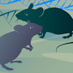 illustration grey and green