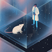 scientist observes white mouse
