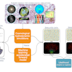 Learning the Universe Summary Figure