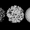 3 panel image of particles assembling into a disk
