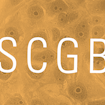 Dusty orange tinted microscopic image with SCGB on top