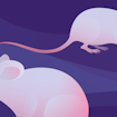 mouse wearing glasses and mouse with a walker